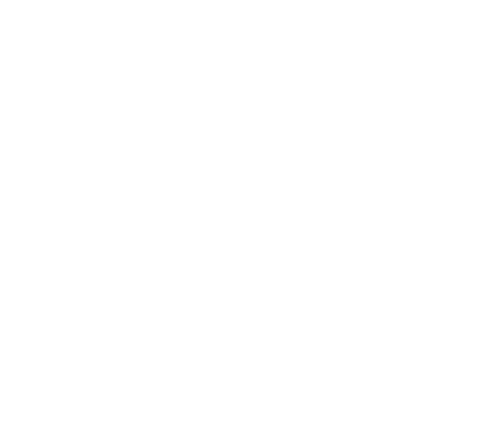 Irene Romero — logo